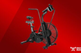 Assault Health AssaultBike Professional X Assessment (2024)